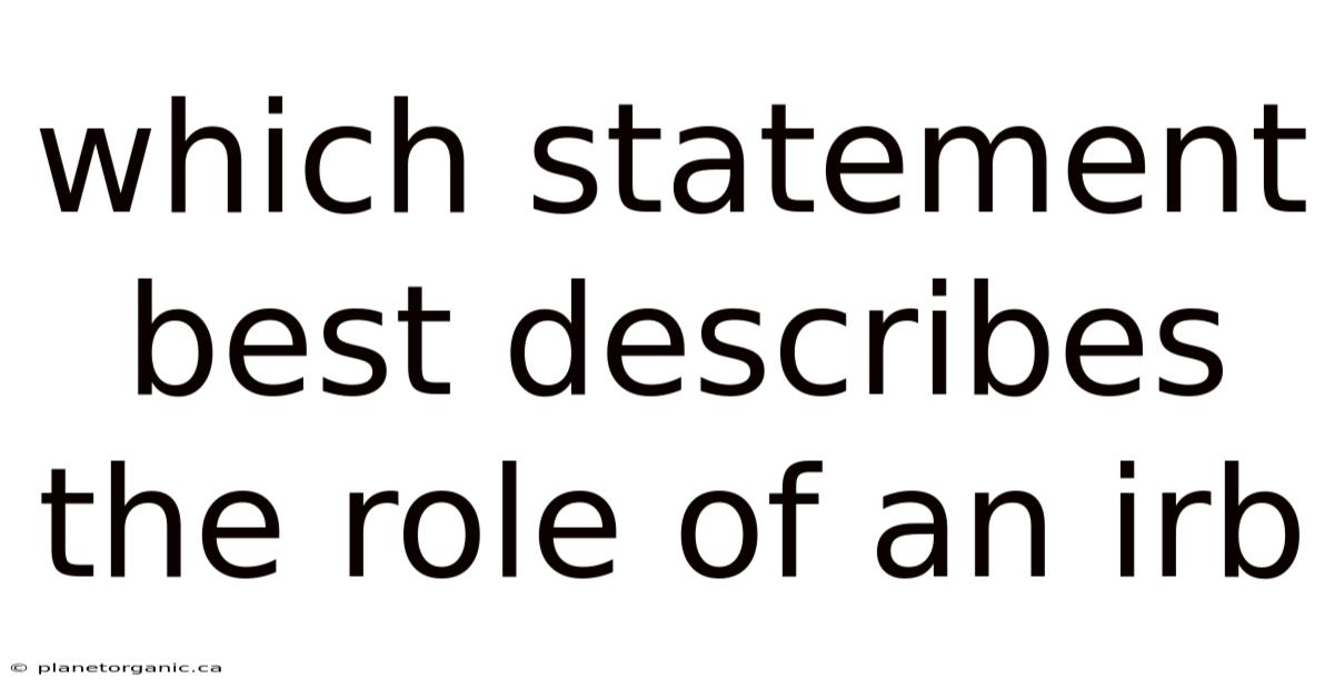 Which Statement Best Describes The Role Of An Irb