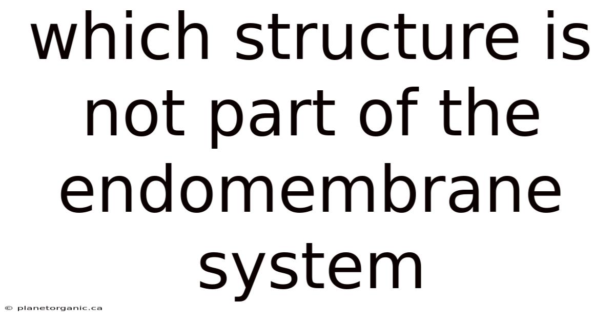 Which Structure Is Not Part Of The Endomembrane System