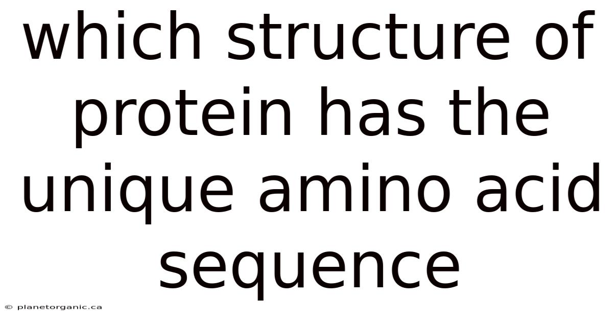 Which Structure Of Protein Has The Unique Amino Acid Sequence