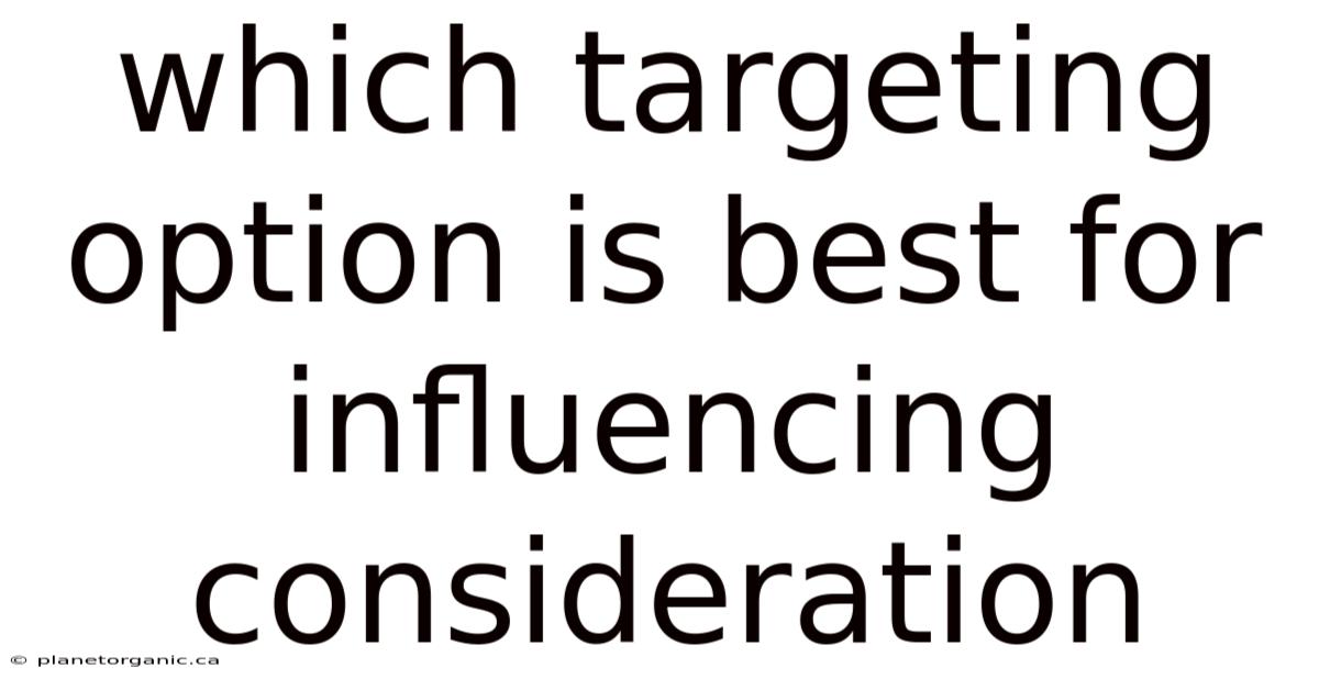 Which Targeting Option Is Best For Influencing Consideration