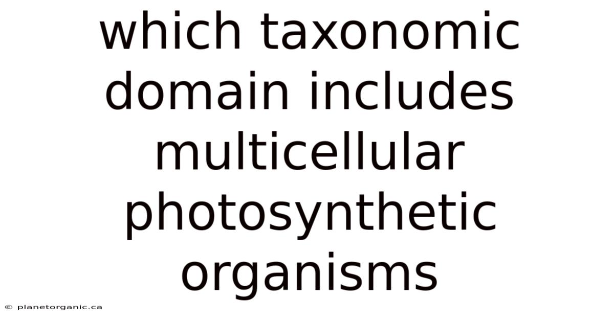 Which Taxonomic Domain Includes Multicellular Photosynthetic Organisms