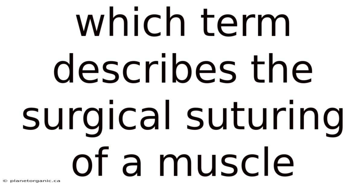 Which Term Describes The Surgical Suturing Of A Muscle