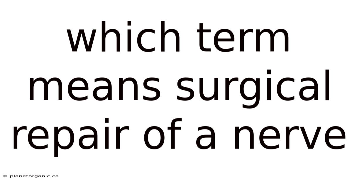 Which Term Means Surgical Repair Of A Nerve