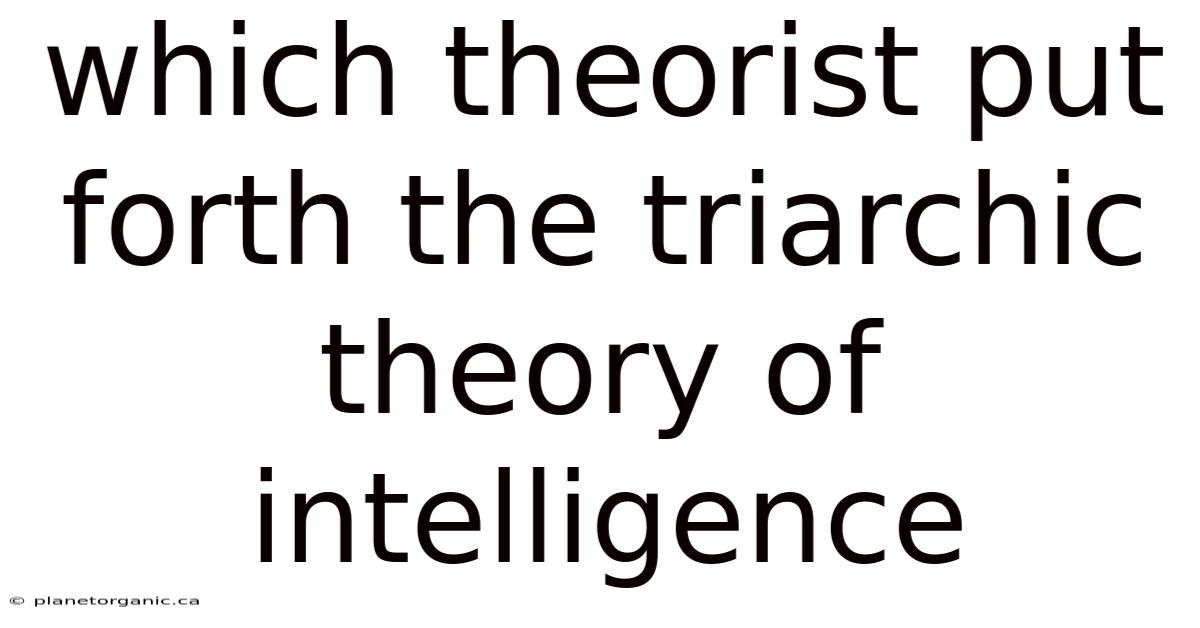 Which Theorist Put Forth The Triarchic Theory Of Intelligence