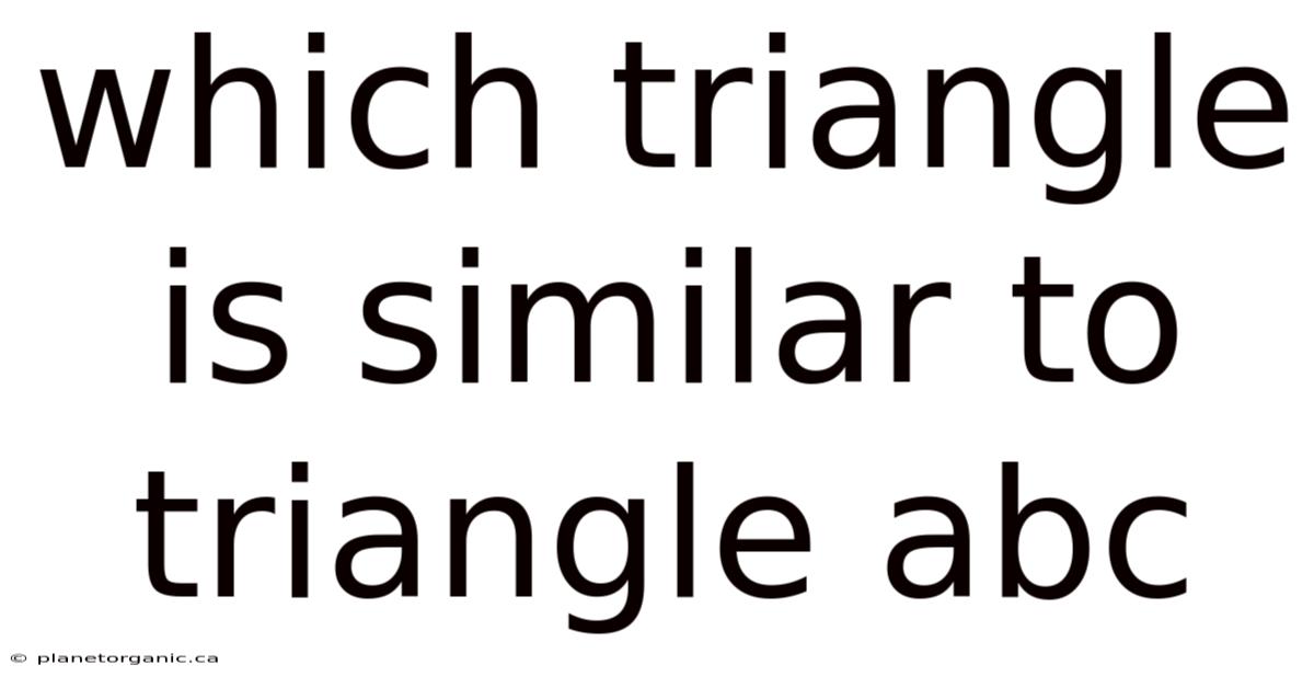 Which Triangle Is Similar To Triangle Abc