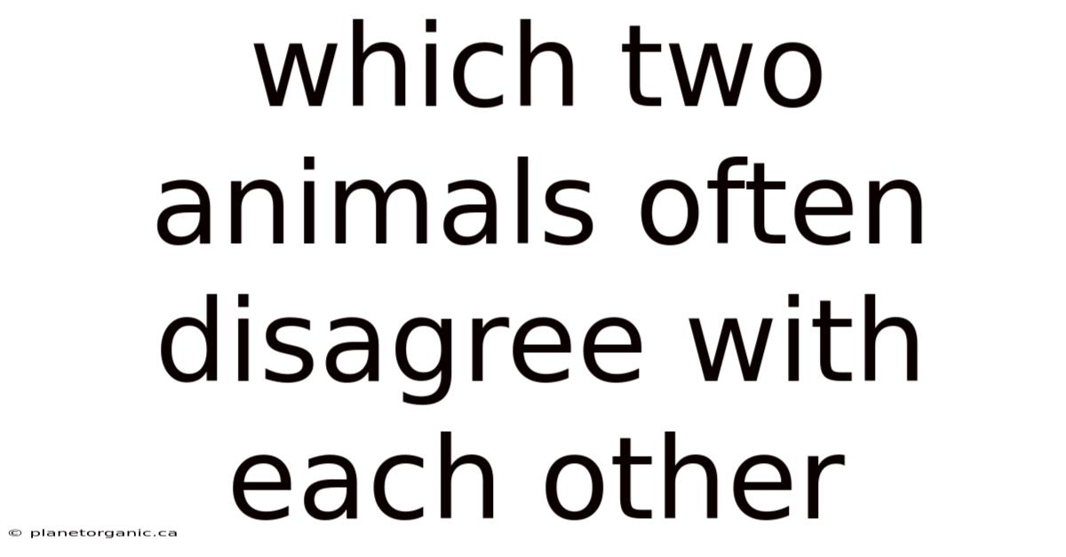 Which Two Animals Often Disagree With Each Other