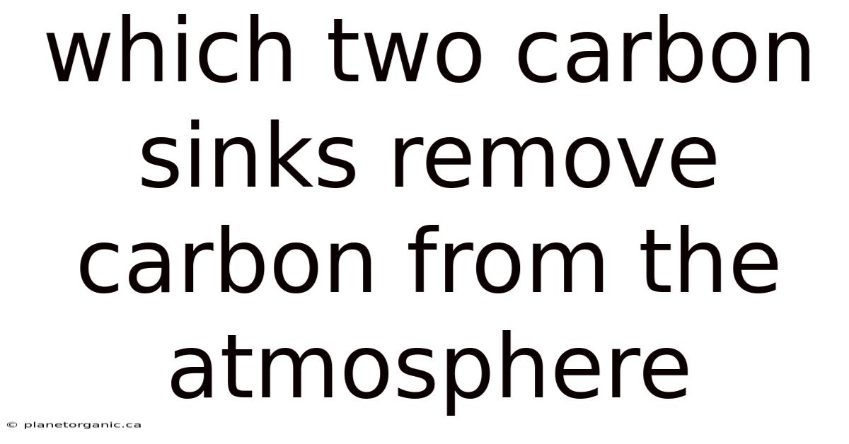 Which Two Carbon Sinks Remove Carbon From The Atmosphere