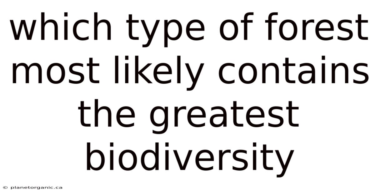 Which Type Of Forest Most Likely Contains The Greatest Biodiversity