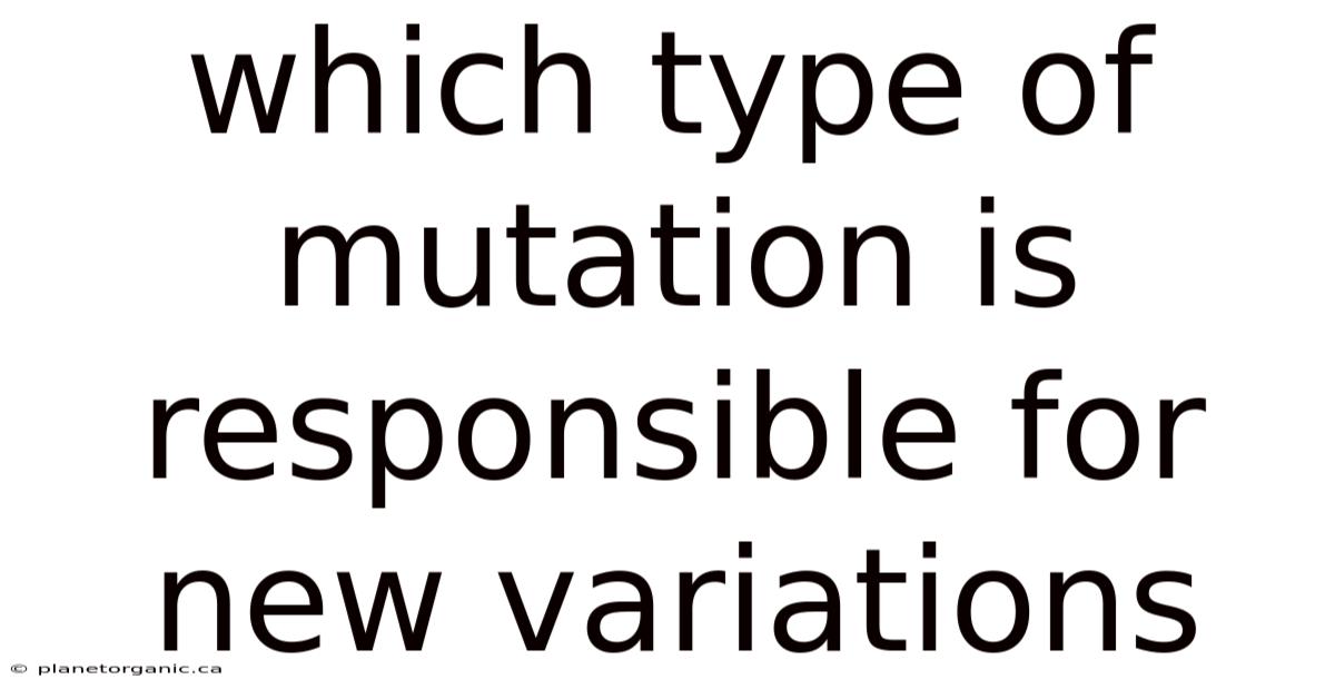Which Type Of Mutation Is Responsible For New Variations
