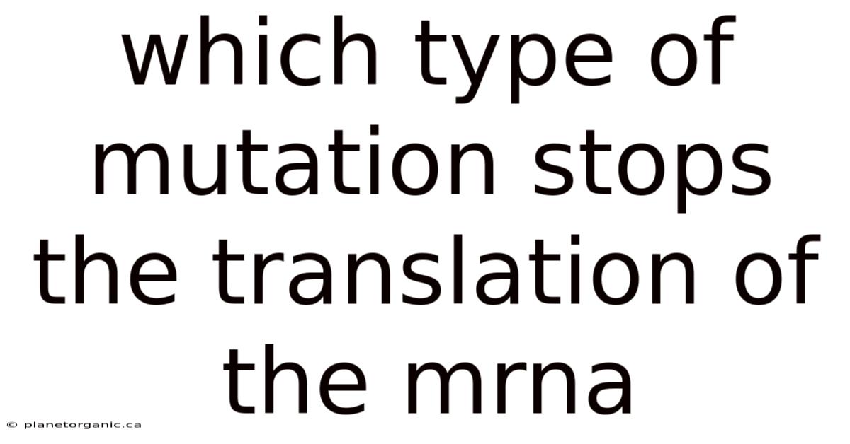 Which Type Of Mutation Stops The Translation Of The Mrna