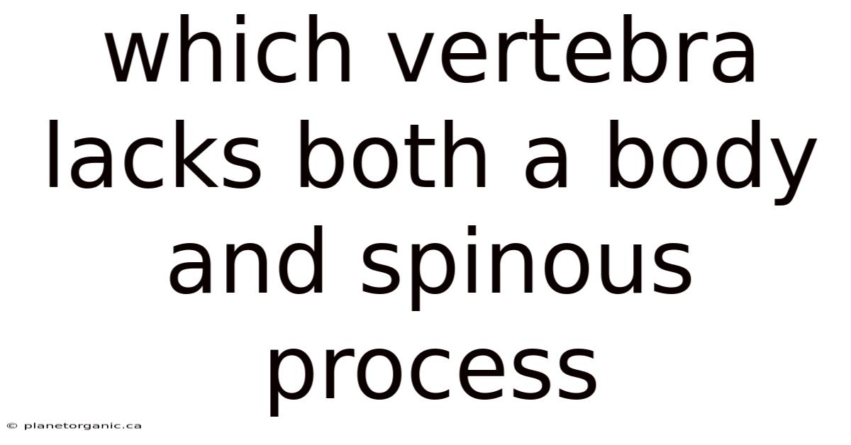 Which Vertebra Lacks Both A Body And Spinous Process