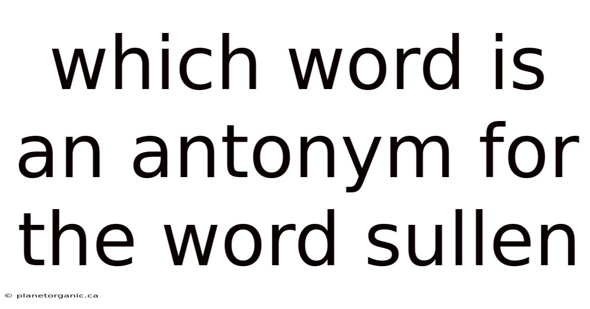 Which Word Is An Antonym For The Word Sullen