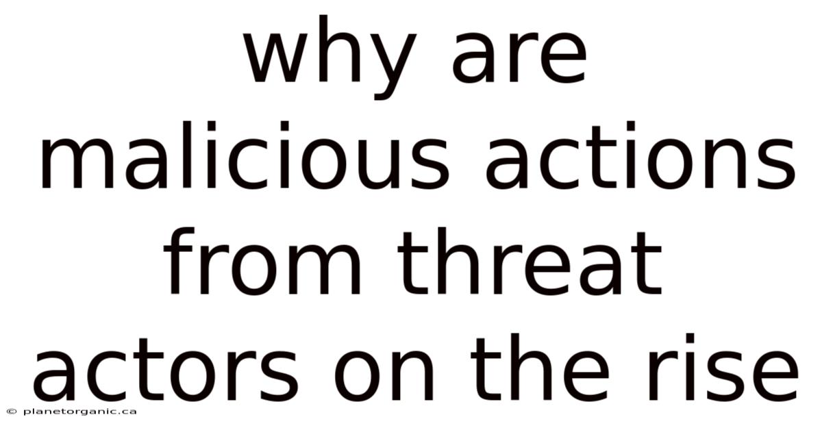 Why Are Malicious Actions From Threat Actors On The Rise