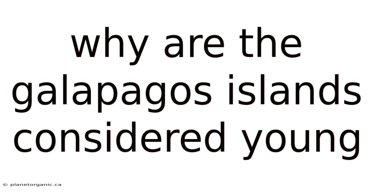 Why Are The Galapagos Islands Considered Young