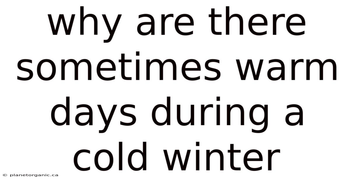 Why Are There Sometimes Warm Days During A Cold Winter
