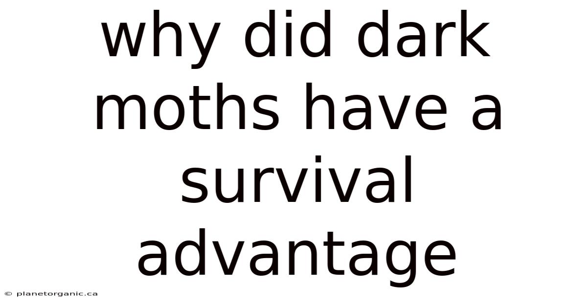 Why Did Dark Moths Have A Survival Advantage