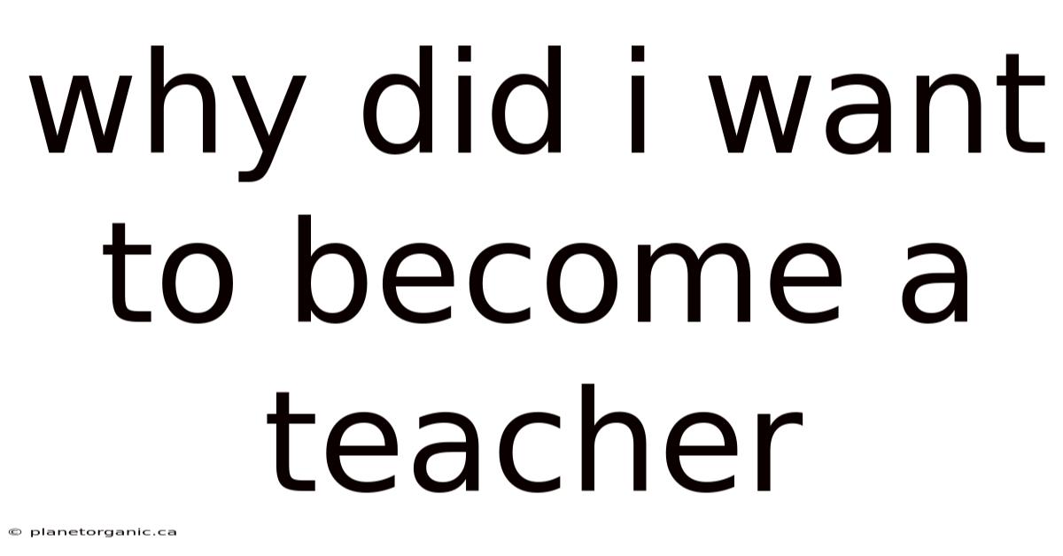 Why Did I Want To Become A Teacher