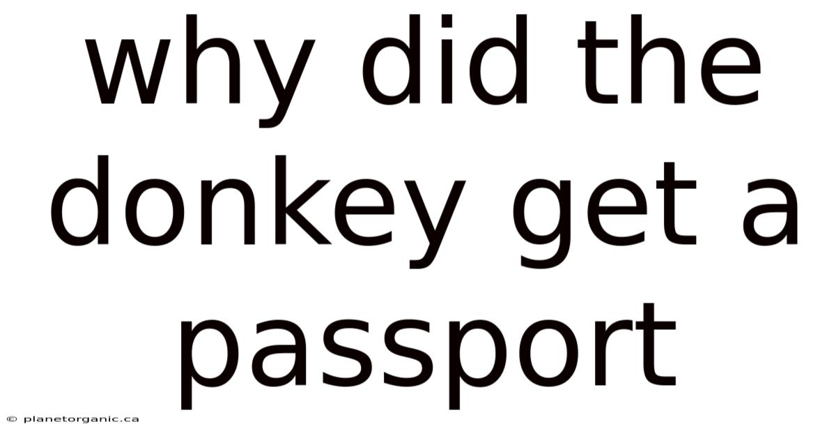 Why Did The Donkey Get A Passport