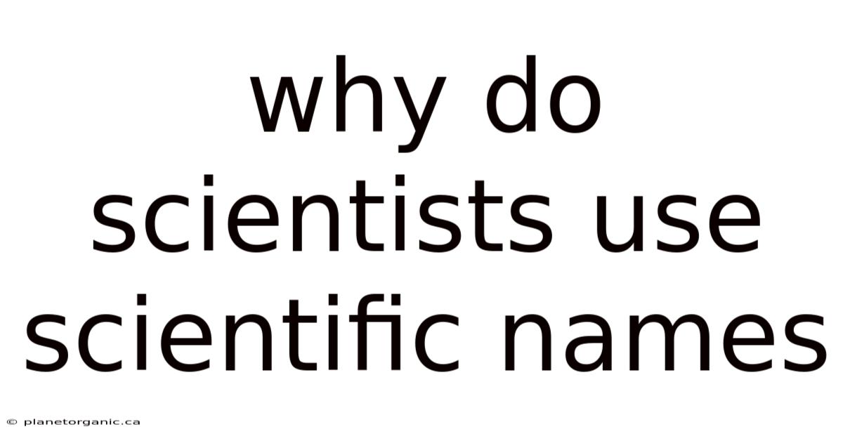 Why Do Scientists Use Scientific Names