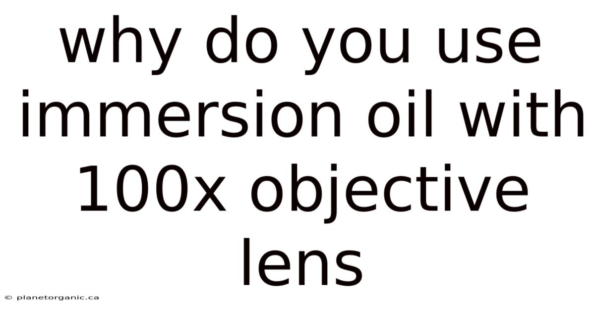 Why Do You Use Immersion Oil With 100x Objective Lens