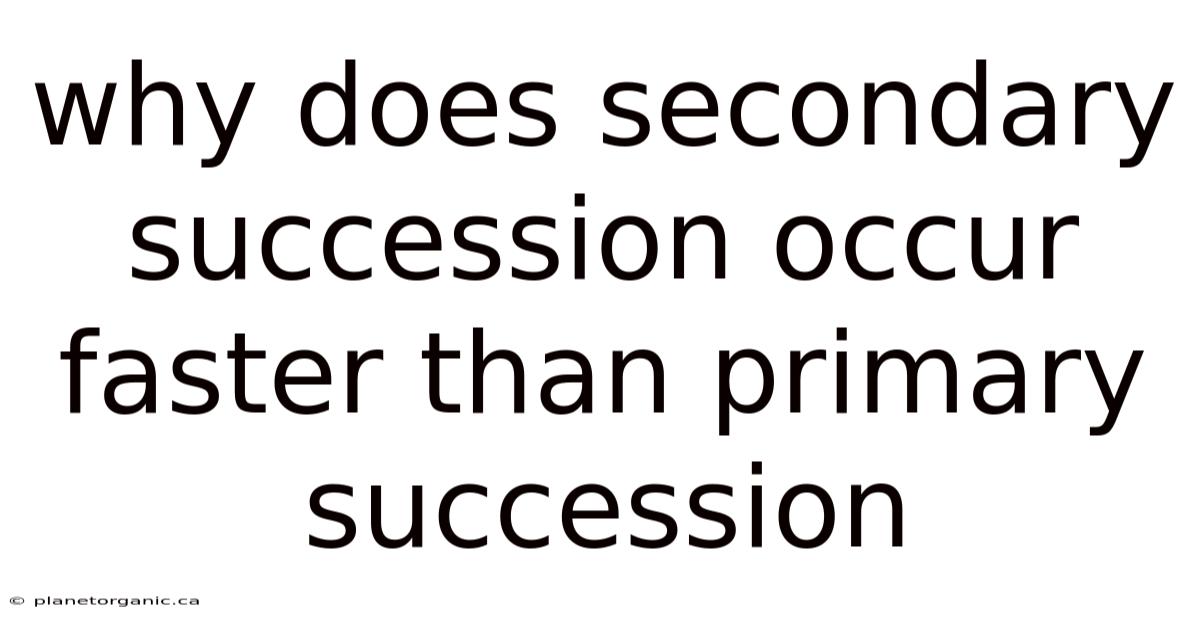 Why Does Secondary Succession Occur Faster Than Primary Succession