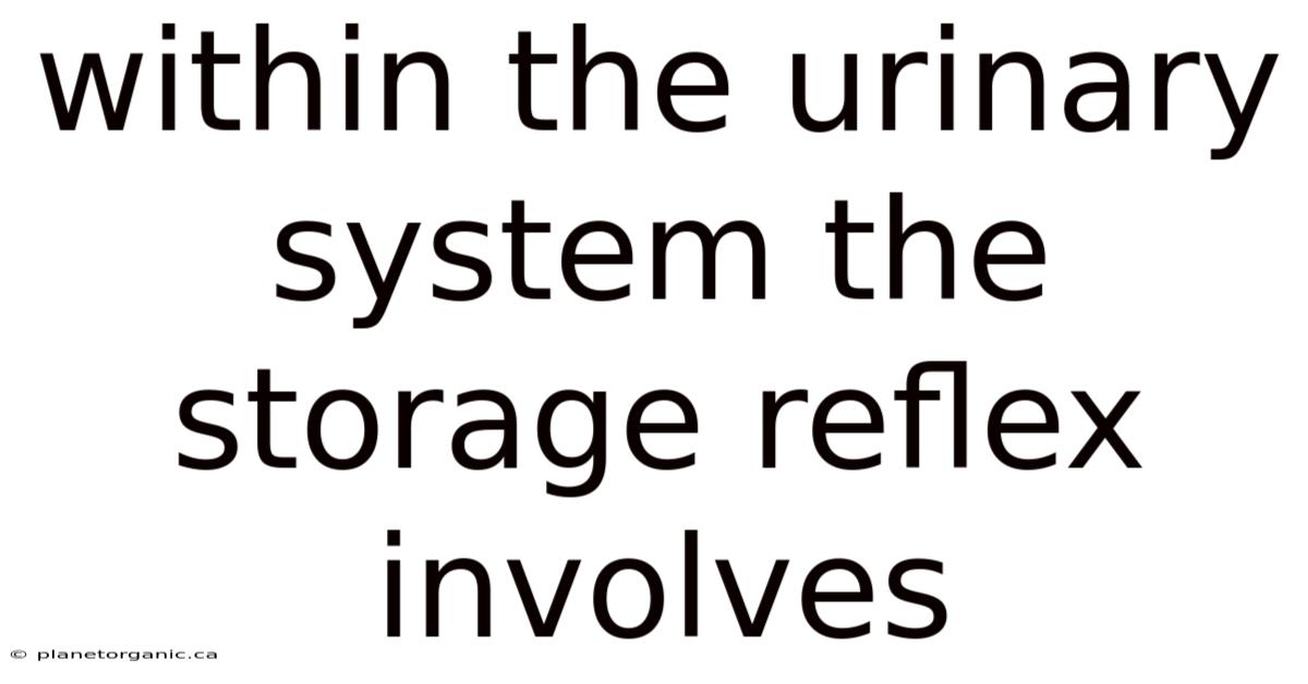 Within The Urinary System The Storage Reflex Involves
