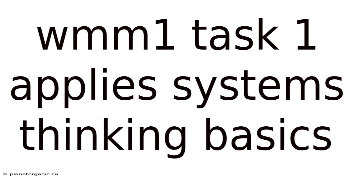 Wmm1 Task 1 Applies Systems Thinking Basics