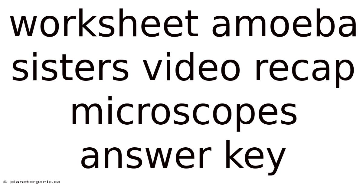 Worksheet Amoeba Sisters Video Recap Microscopes Answer Key