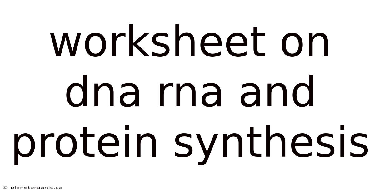 Worksheet On Dna Rna And Protein Synthesis