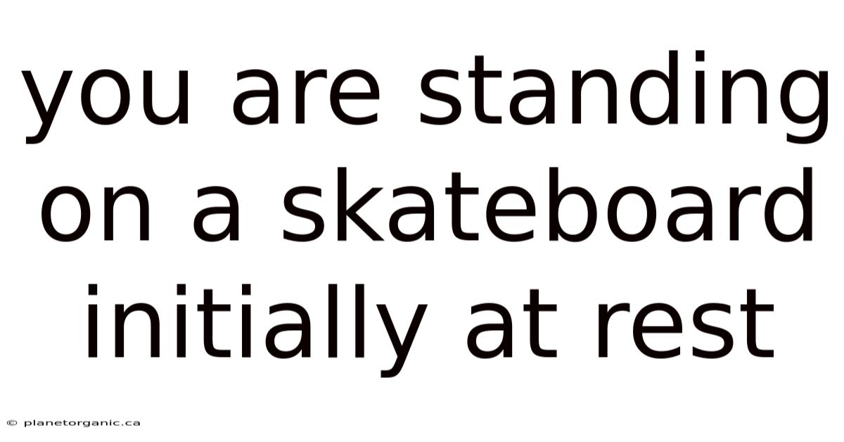 You Are Standing On A Skateboard Initially At Rest